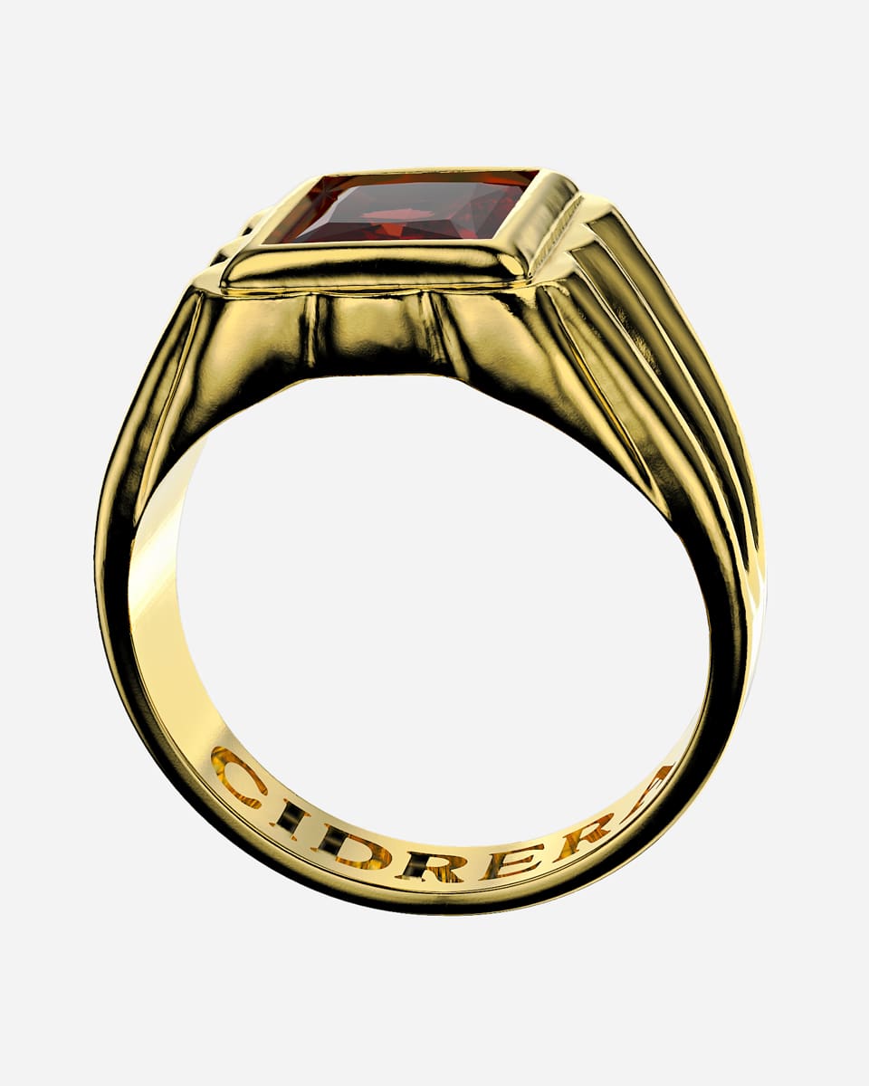 Tony's Ring Garnet Front